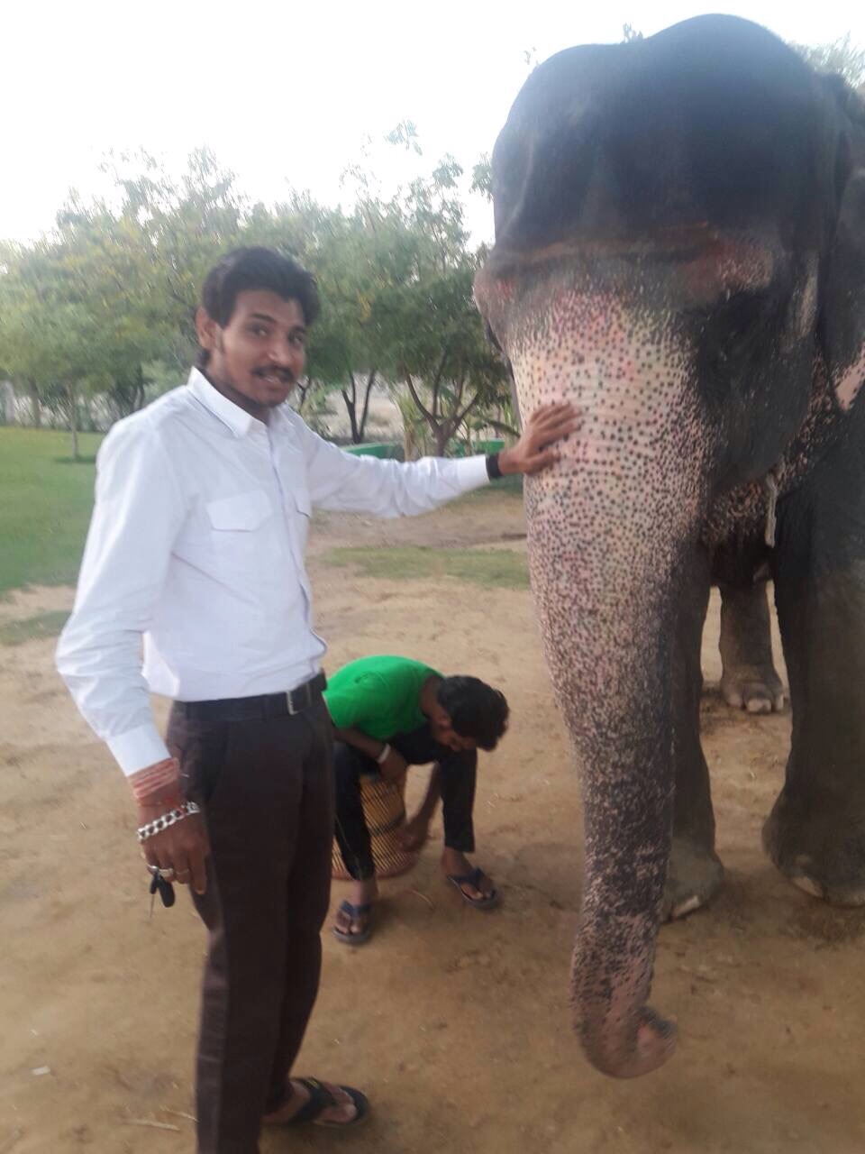 Hari - Elephant safari